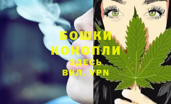 шишки Карталы