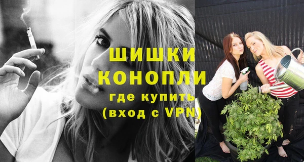 шишки Карталы