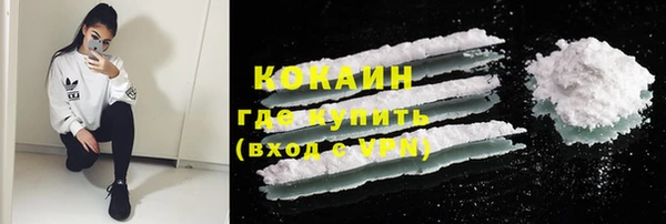 винт Касимов