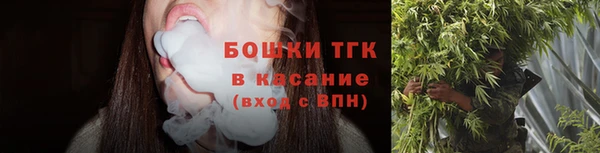 шишки Карталы