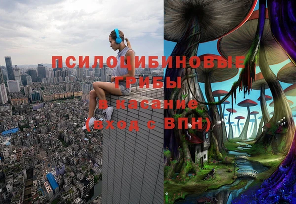 jwh Карпинск