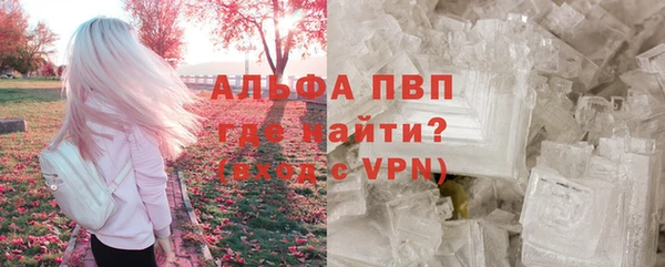 винт Касимов
