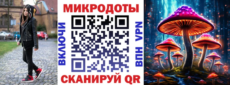 Купить где  Губаха  Псилоцибиновые грибы GOLDEN TEACHER 